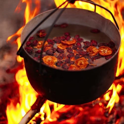 A cauldron over an open fire with a stew cooking within.