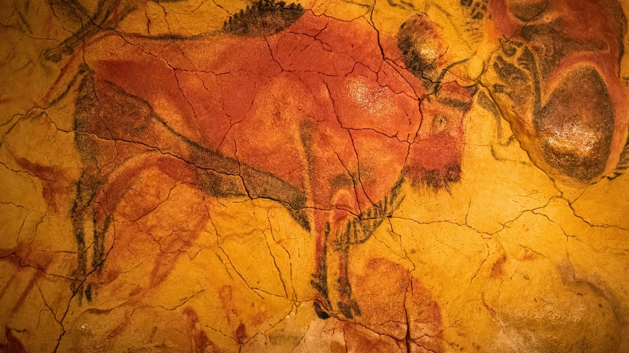 A photo depicting the Altamira Bison found in the cave of Altamira in Spain from circa 17,000 – circa 12,000 years ago, a time period known as the Upper Paleolithic or Magdalenian era.