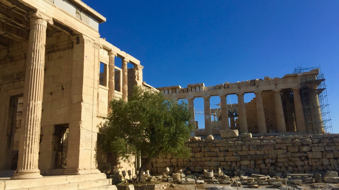 The Erechtheion and the Sacred Olive Tree and the south side of the Parthenon. All of these are on the Acropolis of Athens.