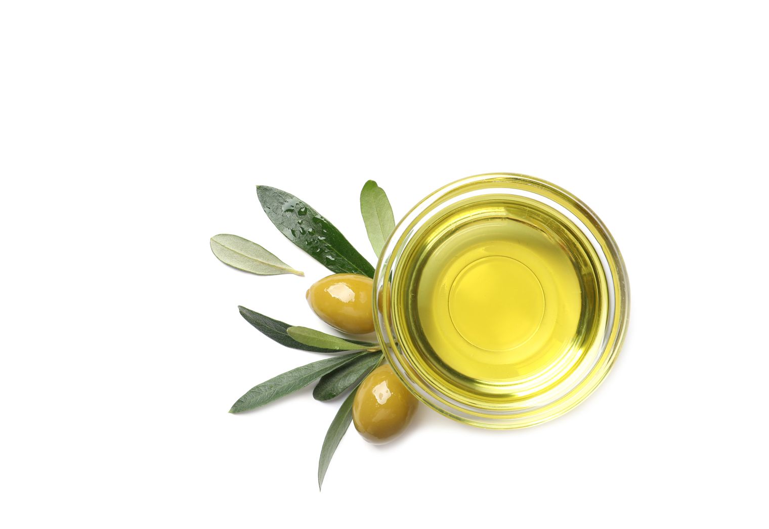 The Antioxidant & Antibacterial Properties of Olive Oil